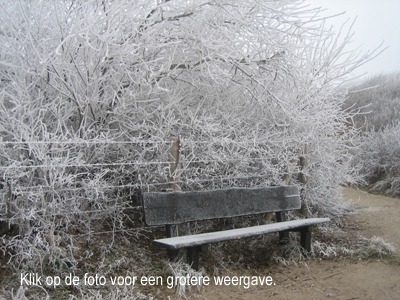 Wilma Bergveld - bankje in de duinen bij Katwijk