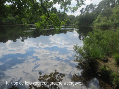 Wilma Bergveld - Oisterwijkse vennen I - mini