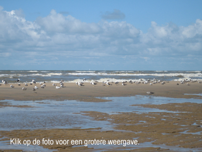 Wilma bergveld - strand bij Scheveningen
