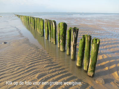 Wilma Bergveld - palen in Zeeuws Vlaanderen - mini